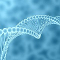 Genome
